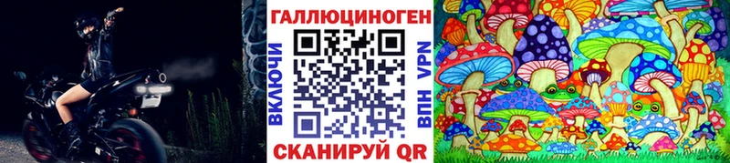 KRAKEN ТОР  Новоузенск  Псилоцибиновые грибы Psilocybine cubensis  что такое наркотик 